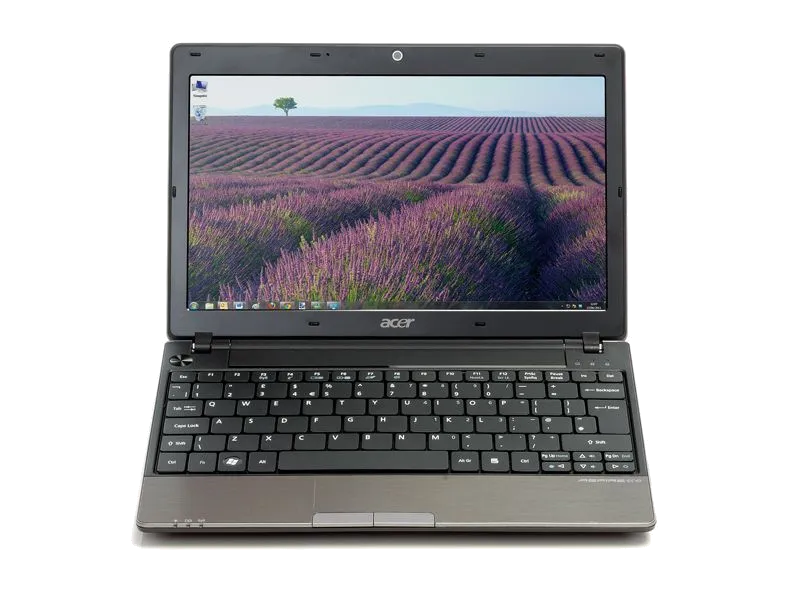 Acer